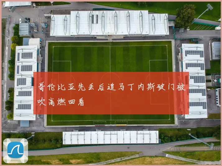 哥伦比亚先丢后追马丁内斯破门被吹高燃回看