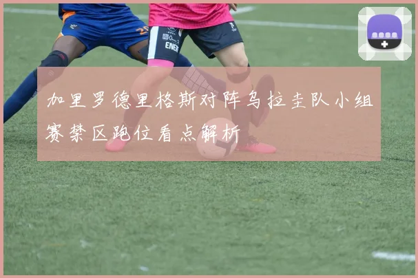加里罗德里格斯对阵乌拉圭队小组赛禁区跑位看点解析