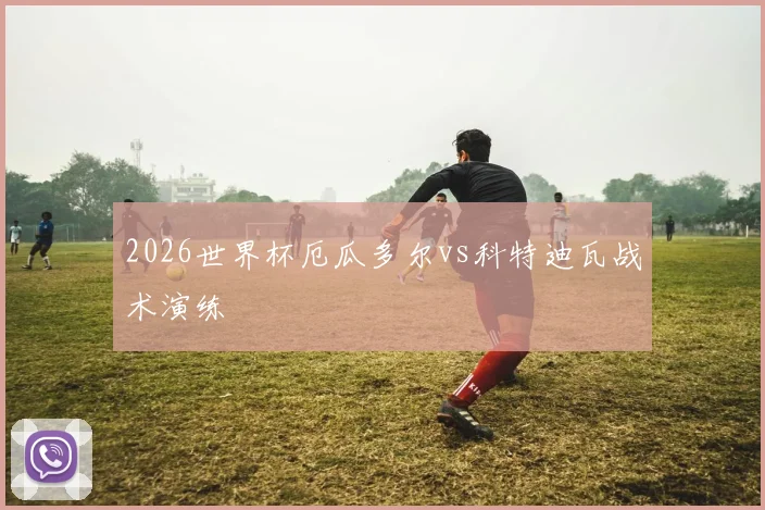 2026世界杯厄瓜多尔vs科特迪瓦战术演练